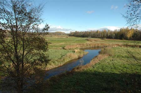 16otsid, leiad linnu