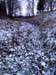 PB192867-