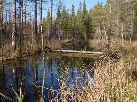 PA089326