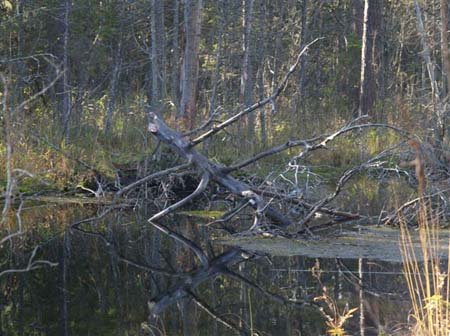 PA089336