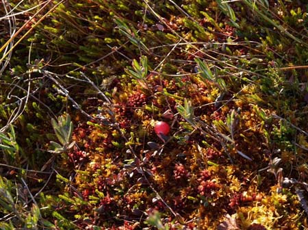 PA099466