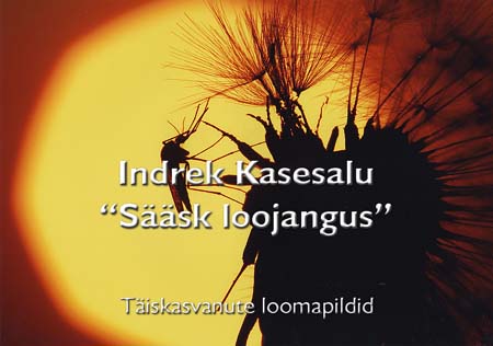 101a