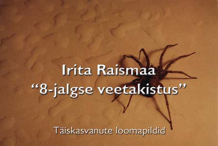 126a