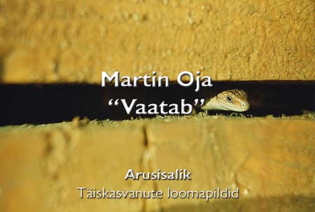 136a