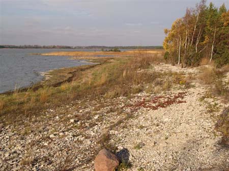 PA290690-