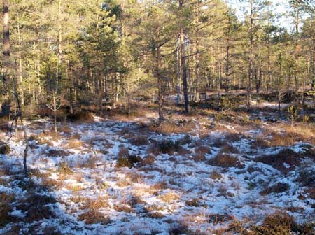 PC033620-