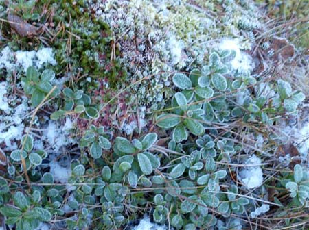 PC033621-