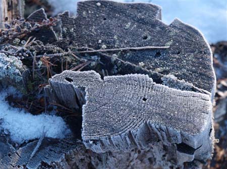 PC033632-