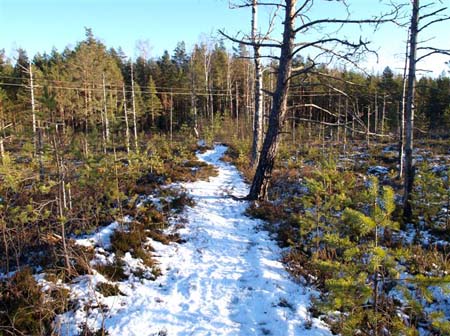 PC033638-