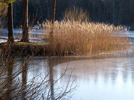 PC043678-