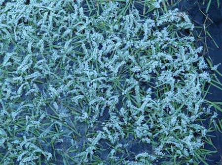PC043712-