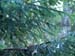 PC033587-