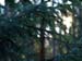 PC033588-