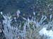 PC033624-