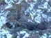PC033634-