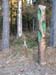 PC043704-