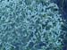 PC043712-