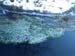 PC043715-