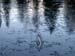 PC043720-