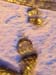 PC043770-