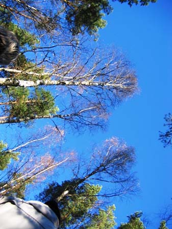 IMG_0051