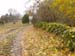 PB061409-