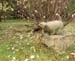 PB061553-