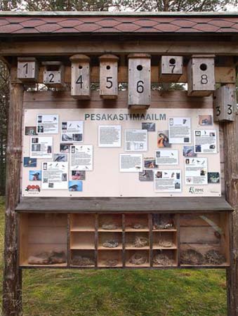 013PA018419-