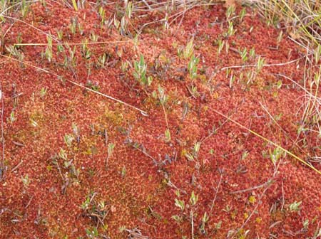 023PA028512-