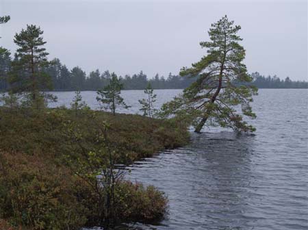 039PA028656
