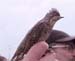 009PA018401-