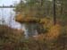 019PA028485-