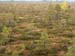 021PA028503-