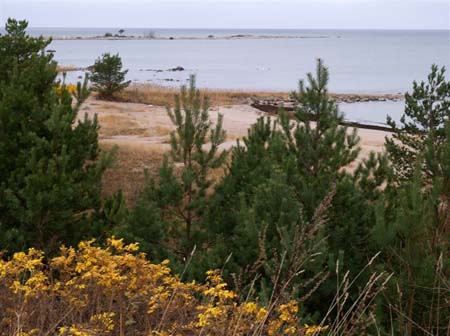 PB111900-