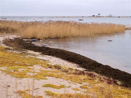 PB111908-