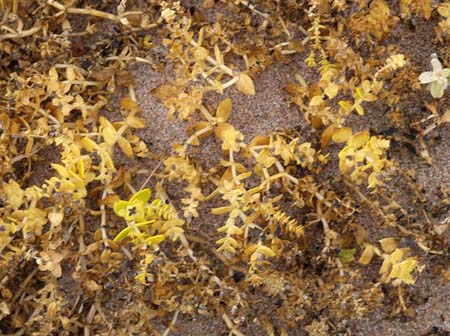 PB111912-