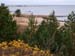 PB111900-