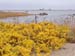 PB111905-