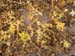 PB111912-