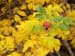 PB111914-
