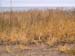 PB111917-