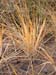 PB111921-