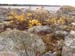PB111956-