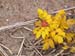 PB111957-