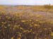 PB121982-