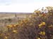PB121984-
