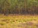 PA159907-