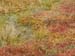 PA159949-