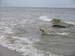 Ruhnu 05 020 Mere koer