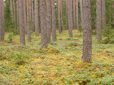 PB051144-